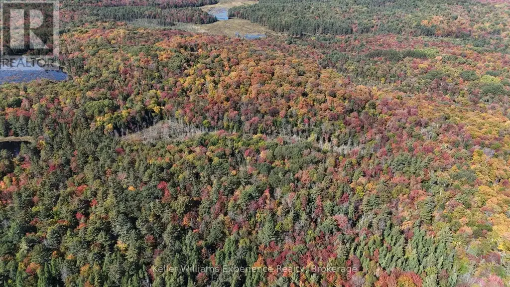 Pl20 Langford Road, Lake of Bays (Mclean)